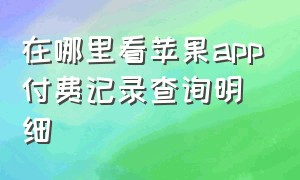 在哪里看苹果app付费记录查询明细