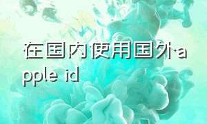 在国内使用国外apple id