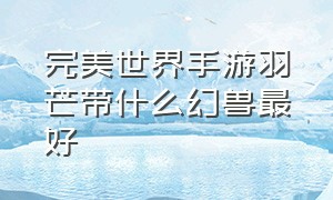 完美世界手游羽芒带什么幻兽最好