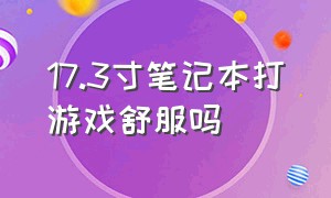 17.3寸笔记本打游戏舒服吗