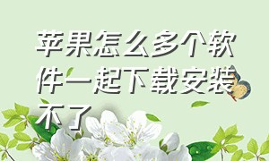 苹果怎么多个软件一起下载安装不了