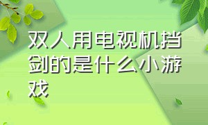 双人用电视机挡剑的是什么小游戏