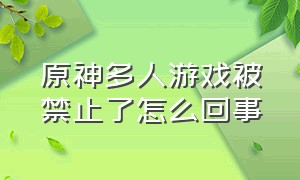 原神多人游戏被禁止了怎么回事