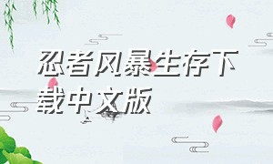 忍者风暴生存下载中文版