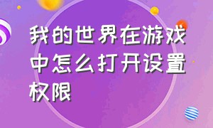 我的世界在游戏中怎么打开设置权限