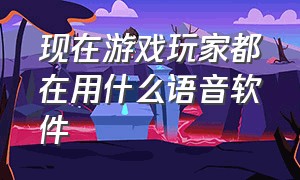 现在游戏玩家都在用什么语音软件