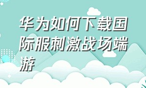 华为如何下载国际服刺激战场端游