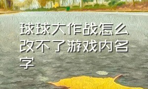 球球大作战怎么改不了游戏内名字