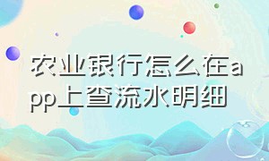 农业银行怎么在app上查流水明细