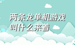 两条龙单机游戏叫什么来着