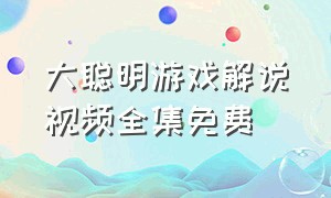 大聪明游戏解说视频全集免费