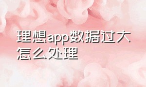 理想app数据过大怎么处理