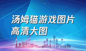 汤姆猫游戏图片高清大图