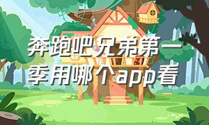 奔跑吧兄弟第一季用哪个app看