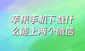 苹果手机下载什么能上两个微信