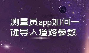 测量员app如何一键导入道路参数