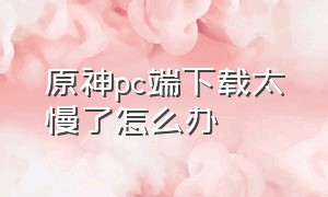 原神pc端下载太慢了怎么办