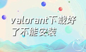 valorant下载好了不能安装