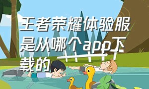 王者荣耀体验服是从哪个app下载的