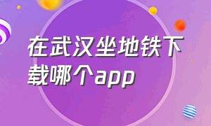 在武汉坐地铁下载哪个app