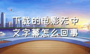 下载的电影无中文字幕怎么回事