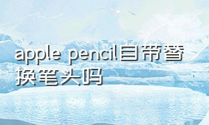apple pencil自带替换笔头吗