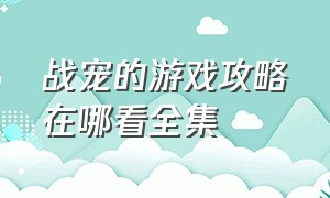 战宠的游戏攻略在哪看全集