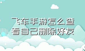 飞车手游怎么查看自己删除好友