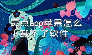 灵点app苹果怎么下载不了软件