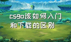 csgo该如何入门和下载的区别