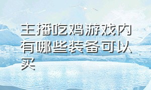 主播吃鸡游戏内有哪些装备可以买