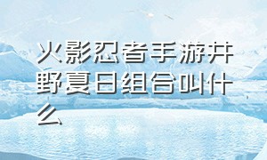 火影忍者手游井野夏日组合叫什么