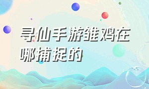 寻仙手游雏鸡在哪捕捉的