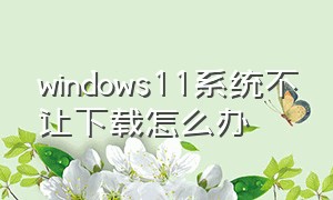 windows11系统不让下载怎么办