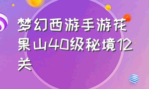 梦幻西游手游花果山40级秘境12关