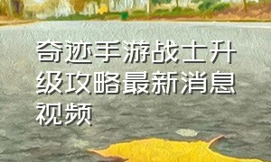 奇迹手游战士升级攻略最新消息视频