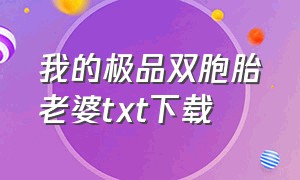 我的极品双胞胎老婆txt下载