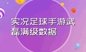 实况足球手游武磊满级数据