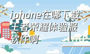 iphone在哪下载王者荣耀体验服软件啊