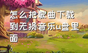 怎么把歌曲下载到无损音乐u盘里面