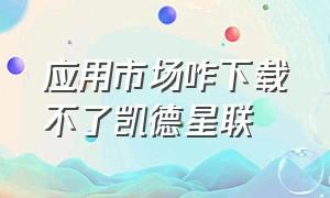 应用市场咋下载不了凯德星联