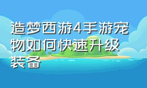 造梦西游4手游宠物如何快速升级装备