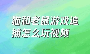 猫和老鼠游戏追捕怎么玩视频