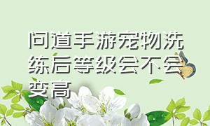 问道手游宠物洗练后等级会不会变高