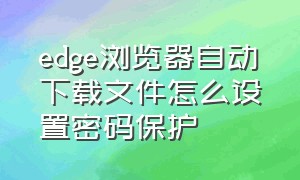 edge浏览器自动下载文件怎么设置密码保护