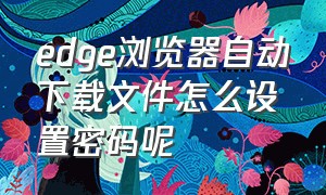 edge浏览器自动下载文件怎么设置密码呢