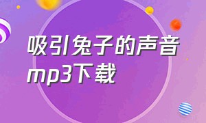 吸引兔子的声音mp3下载