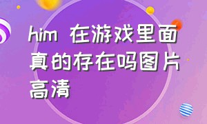 him 在游戏里面真的存在吗图片高清