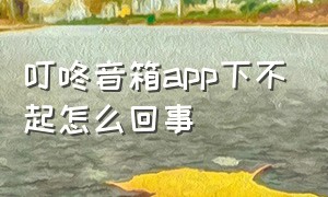 叮咚音箱app下不起怎么回事