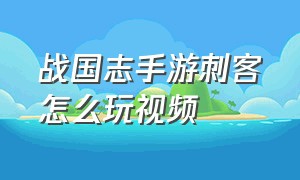 战国志手游刺客怎么玩视频